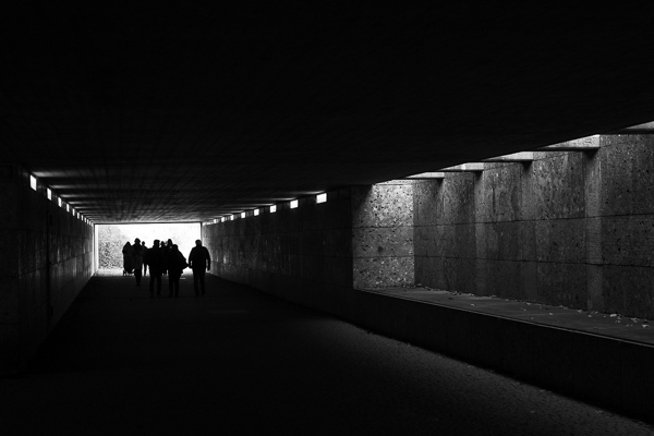 Toward the Light