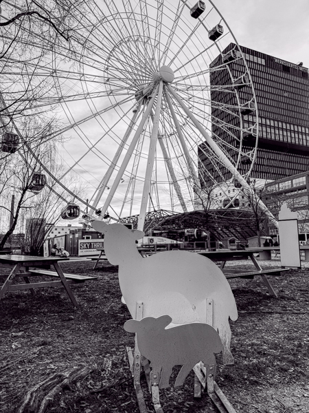 Sheep and the Wheel