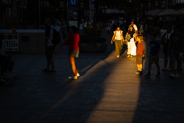 Where the Light Falls